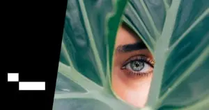 Bashar speaking on tedx conference